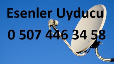 Esenler uyducu çanak anten Televizyon servisi