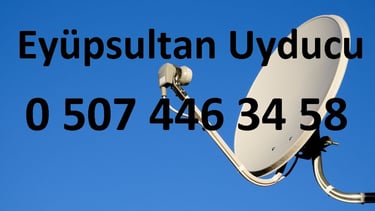 eyüpsultan eyüp uyducu çanak anten ayarı televizyon servisi