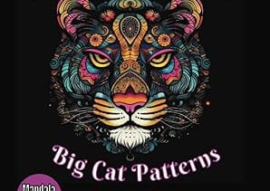 Amazing Mandala Patterns Coloring Book for Adults & Teens