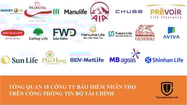 Tổng quan về 18 các công ty bảo hiểm uy tín và dịch vụ tư vấn bảo hiểm