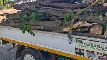 Loading Wood in a truck to dumpsite