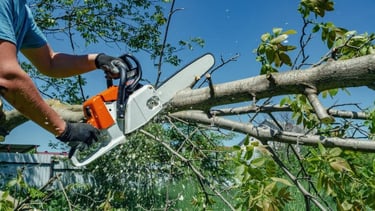 Trimming of tree branches hanging ove electric cables and driveway in Meyerton, Johannesburg