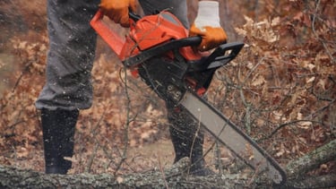 Cutting storm damaged fallen tree in Randburg, Johannesburg