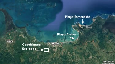 Photo satellite Miches Playa Esmeralda