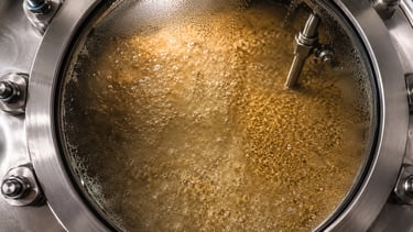 High-solids grain mash fermenting behind a stainless-steel vessel sight glass.