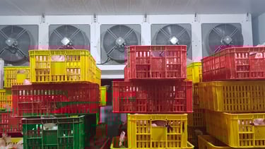 Air Blast Freezer ROCKET CHICKEN - Salatiga by CV MUDACOOL INDONESIA