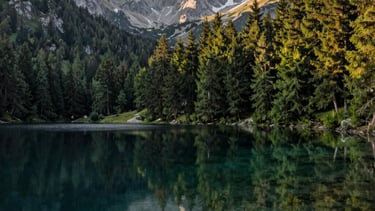 A professional wide-angle photograph of a pristine mountain lake in the French Alps reflecting deep green pine forests and jagged peaks under a soft morning light. The water is clear and calm, suggesting purity and hidden depths.