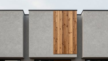 Minimalist residential townhouse facade, clean vertical lines, gray plaster and wood cladding, soft morning light