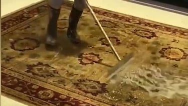 Professional hand washing and deep cleaning service for rugs and carpets.