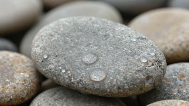 Macro texture of wet grey river stones stacked neatly, soft natural light, water droplets, shallow depth of field