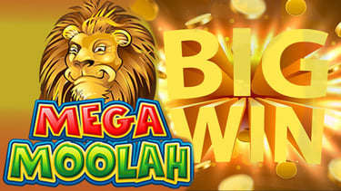 Mega Moolah online slots real cash winning