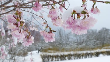 Sauna sibérien dans le pays rochois en Haute-Savoie