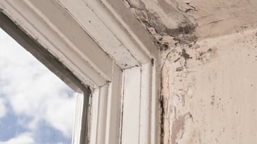 Damage caused by water leak