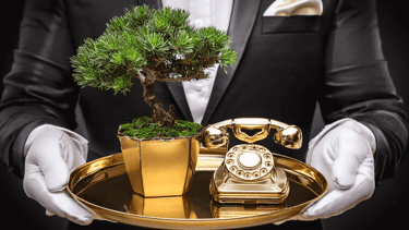 white gloved service agent holding golden phone and bonsai on platter