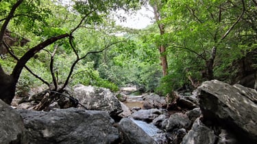 best resort in sholayur