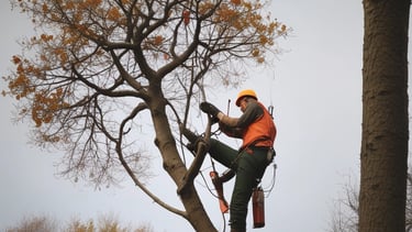 A well-maintained garden features a distinctively pruned tree with a rounded, dense canopy situated in the foreground. This tree is surrounded by lush, green grass, and several taller trees with thin trunks and sparse foliage stand in the background. The landscape extends to a distant horizon under a clear blue sky.