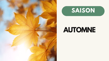 Recette Naturopathie Automne