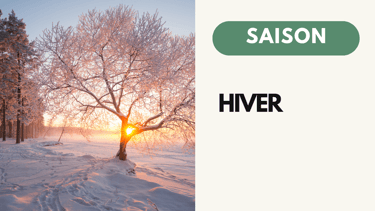 Recette Naturopathie Hiver