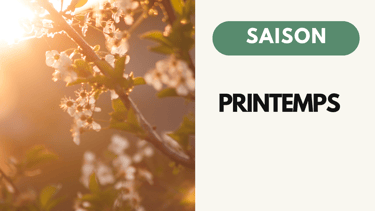Recette Naturopathie Printemps