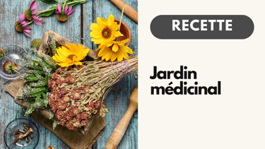 Recette Naturopathie Jardin médicinale