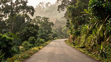 A quiet, winding road through a lush Khao Yai valley forest, soft diffused natural light, wide architectural shot, warm editorial photography, soft morning mist, forest green and stone grey tones, shallow depth of field, 35mm