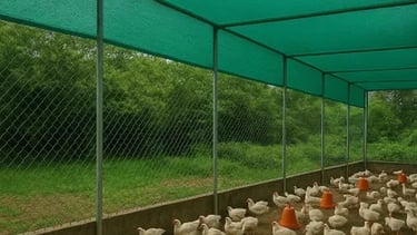 Agricultural Shade Net Installed for Crop Protection