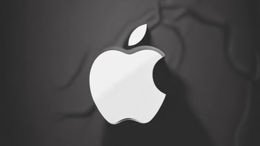 pink metal frame photo