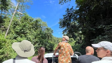 Tourists in an open-top 4x4 vehicle on a wildlife safari through lush Deramakot forest