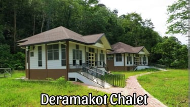 Deramakot Chalet accommodation surrounded by rainforest in Deramakot Forest Reserve, Borneo