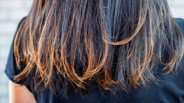 Hair repair treatment for damaged and chemically treated hair