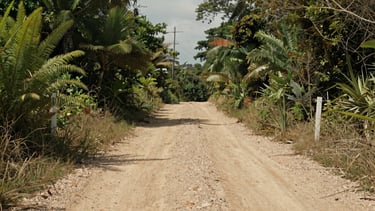 Ground-level approach shot along a dirt access road leading into a raw land parcel, vegetation type visible on both sides, utility pole in the background, midday natural light, lot boundary post visible to the right — wide environmental framing, no people