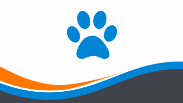 Présence et soins aux animaux