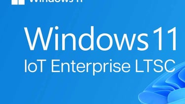 Win11 ve Win10 aktivasyon lisans rar şeklinde gönderilecektir.