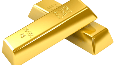 a gold barbelli gold bars with a gold bar