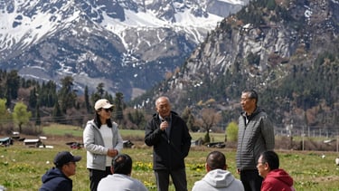 pink metal frame photo