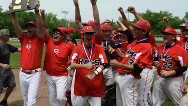 cheshire rams