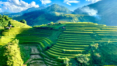 Rice terrace