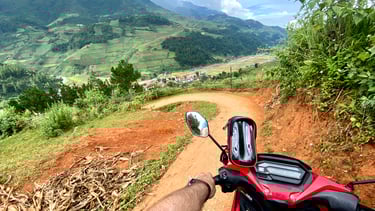 Road to bamboo forest