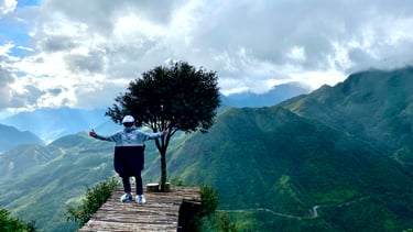 a man standing on a wooden bridge over looking at a tree