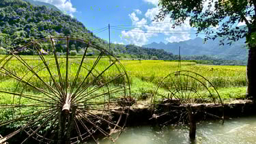 Tai Dam Homestay