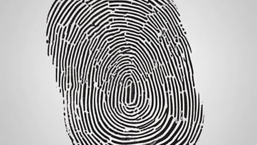 A professional discussing career options with a mentor.