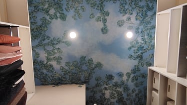 Ceiling Mural, San Diego