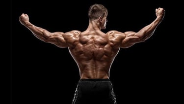Homem musculoso de costas, exibindo definição e volume nos músculos das costas, ombros e braços.