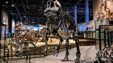 Dinosaur within walking distance of Patriot Stay Motel/hotel book our great rooms now for patriotism