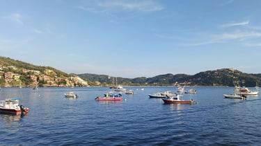 Zihuatanejo Bay seen from the water with little boats