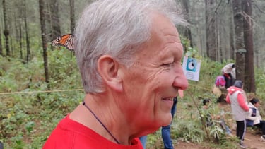 Monarch butterfly on Jan Larsson's head