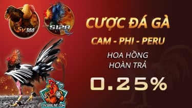 Đăng ký đá gà trực tiếp