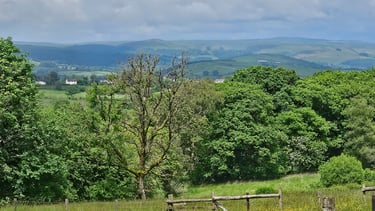 View from Tŵr-Ffoledd near Llanwrtyd Wells