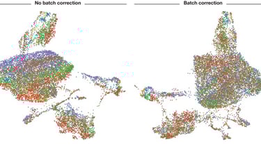 Before and After Batch correction