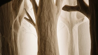 Wood trees with shadows representing mysterious energy